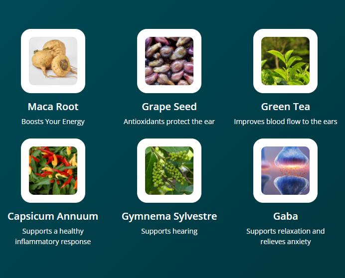 Audifort Supplement Facts